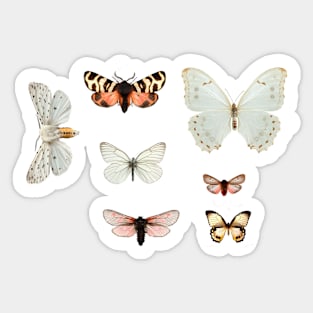 butterfly digital collage Sticker